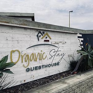 Organic Stay Guesthouse